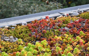 the cost of Muir Of Ord green roof installation