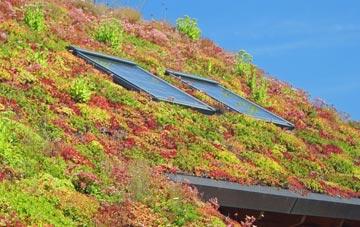 Muir Of Ord living roof systems