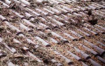 Muir Of Ord roof cleaning companies