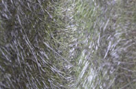 Muir Of Ord fibreglass roof work